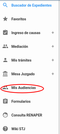 MisAudiencias.png